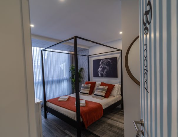 c_planbeDSC08864
